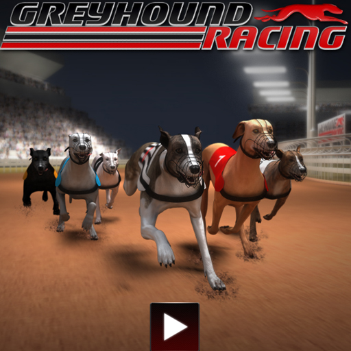 Greyhound Racing