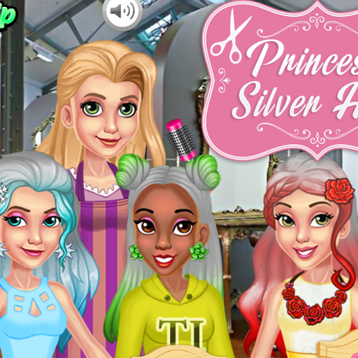 Princess Silver Hairstyles