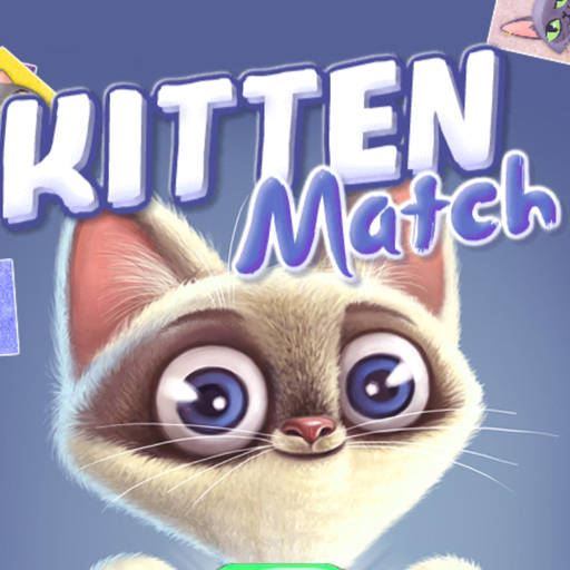 Kitten Match