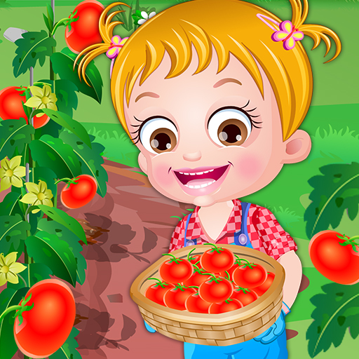 free online Baby Hazel Tomato Farming