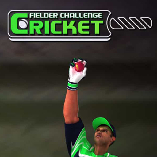 Cricket Batter Challenge Game