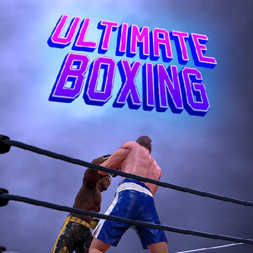 Ultimate Boxing Game