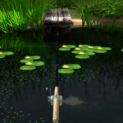 Backwater Fishing